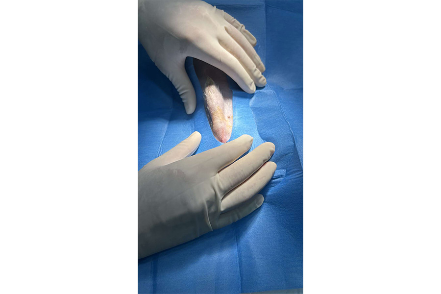 Sin título-1_0002_quirofano1